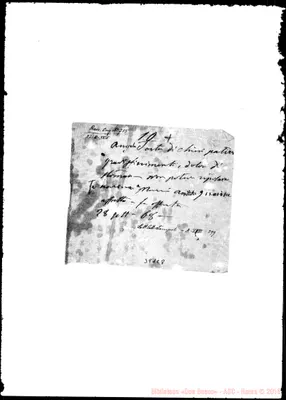 Fotogramma C 8