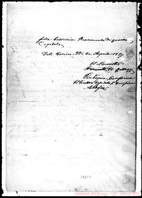 Fotogramma C 6