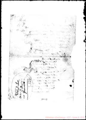 Fotogramma D 9