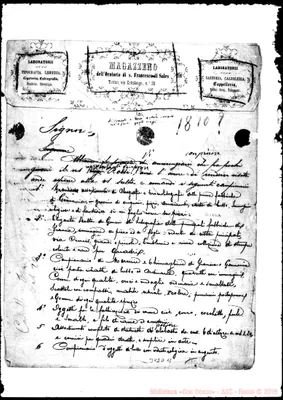 Fotogramma D 11