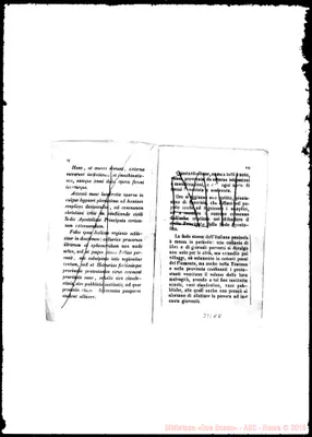 Fotogramma E 8