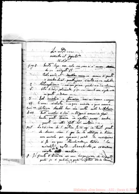 Fotogramma C 7