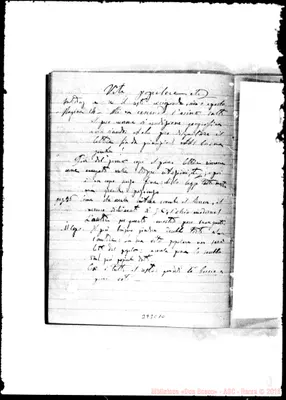 Fotogramma C 10