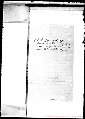 Fotogramma C 7