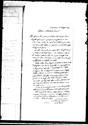 Fotogramma D 3