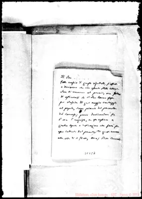 Fotogramma C 7