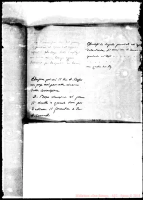 Fotogramma C 8