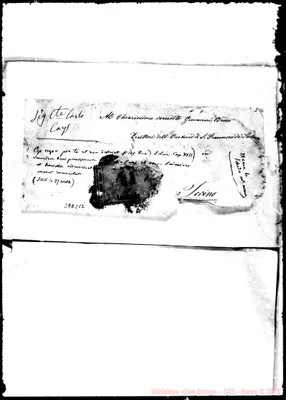 Fotogramma C 12