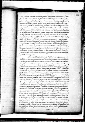Fotogramma C 7