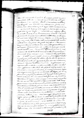 Fotogramma E 8
