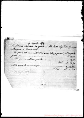 Fotogramma C 1
