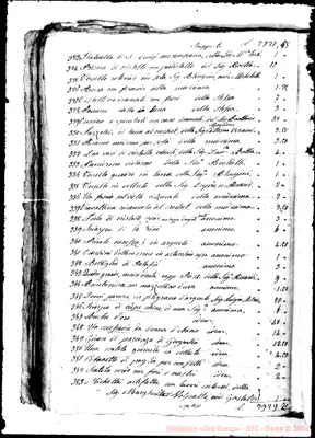 Fotogramma A 11