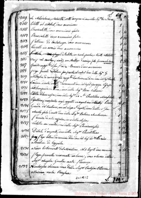 Fotogramma B 12