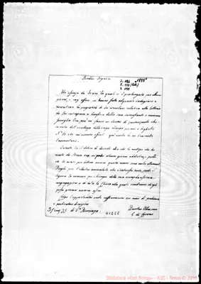 Fotogramma C 8