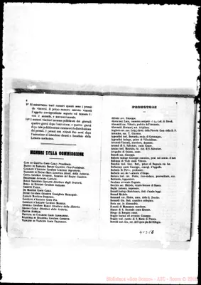 Fotogramma C 6