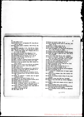 Fotogramma D 10