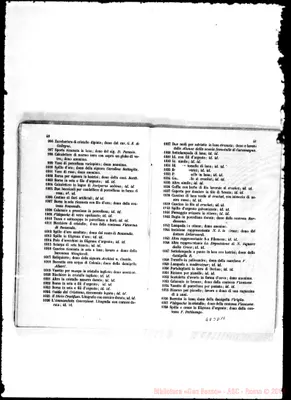 Fotogramma D 11