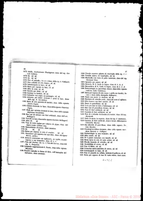 Fotogramma E 2