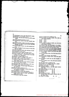 Fotogramma E 11