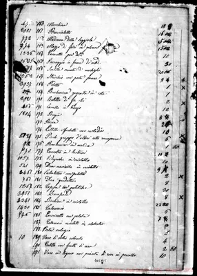 Fotogramma B 5