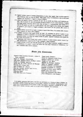 Fotogramma D 3