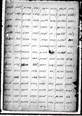 Fotogramma C 2