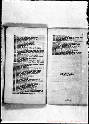 Fotogramma C 11