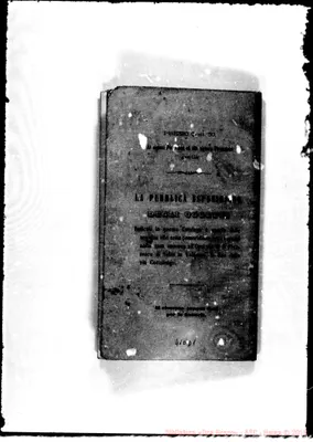 Fotogramma D 1
