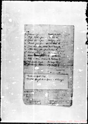 Fotogramma D 5
