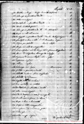 Fotogramma E 8