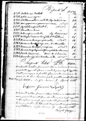 Fotogramma E 8