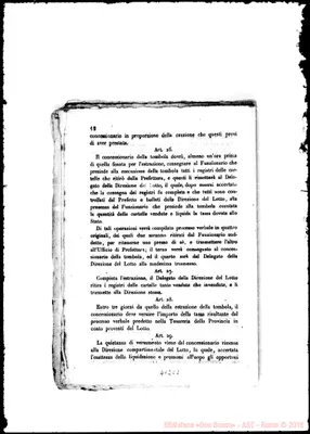 Fotogramma C 8