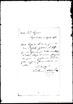 Fotogramma D 11