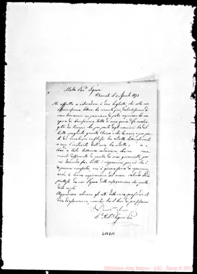 Fotogramma D 11