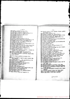 Fotogramma B 12