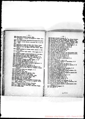 Fotogramma C 1