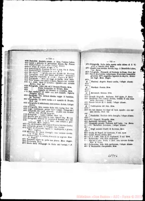 Fotogramma C 6