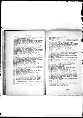 Fotogramma C 11