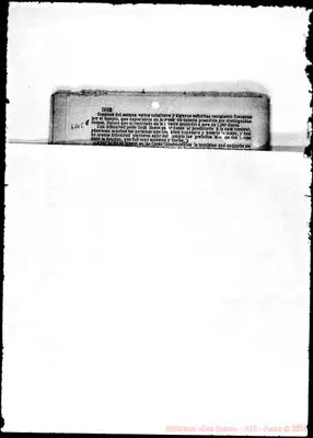 Fotogramma C 6