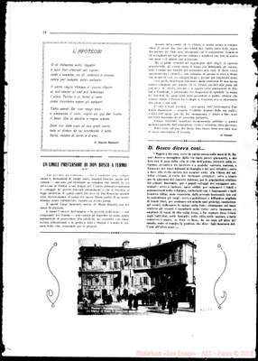 Fotogramma D 6