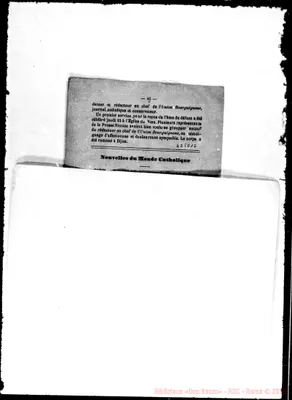 Fotogramma D 12