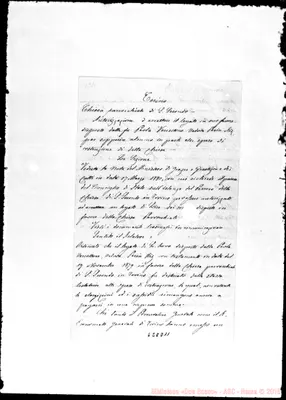 Fotogramma D 11
