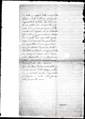Fotogramma D 11