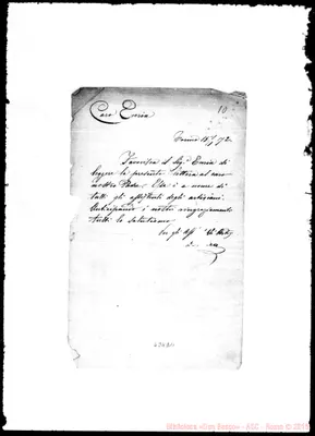 Fotogramma D 11