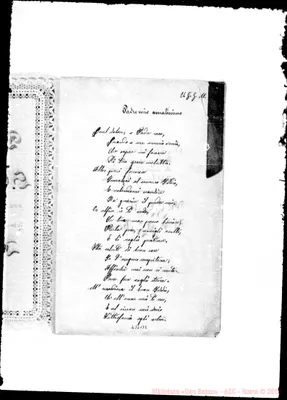 Fotogramma B 2