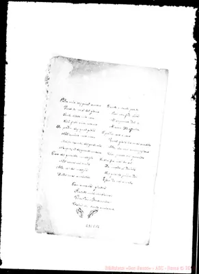 Fotogramma E 12