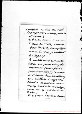 Fotogramma B 11