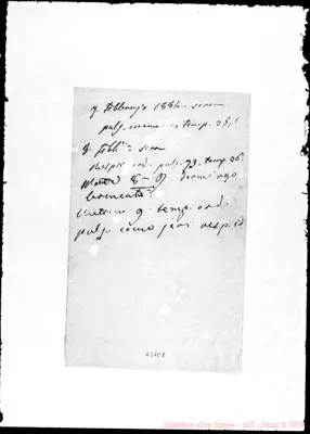 Fotogramma C 8
