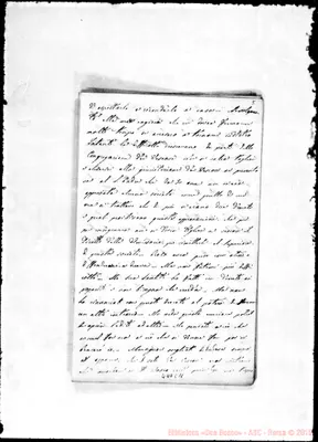 Fotogramma C 11