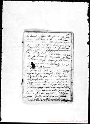 Fotogramma B 1